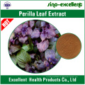 natürlicher Perilla Leaf Extract